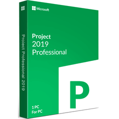 Microsoft Project Professional 2019